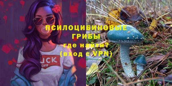 прущие грибы Алзамай