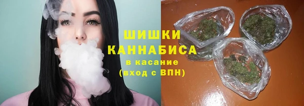 прущие грибы Алзамай