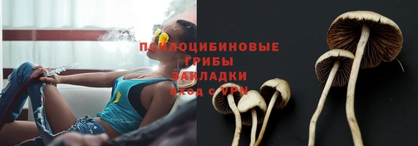 спайс Алексин