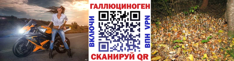 Галлюциногенные грибы мухоморы  Бабушкин 