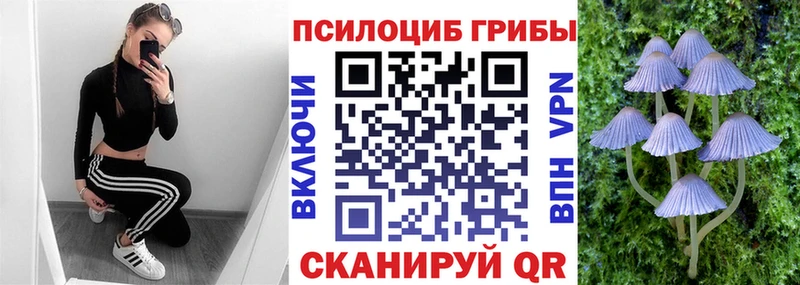 Псилоцибиновые грибы Psilocybine cubensis Бабушкин